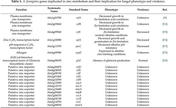 Nitrogen, Iron, and Zinc Acquisition: Key Nutrients to Aspergillus fumigatus Virulence - Image 6