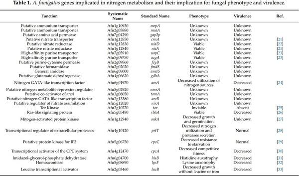 Nitrogen, Iron, and Zinc Acquisition: Key Nutrients to Aspergillus fumigatus Virulence - Image 1