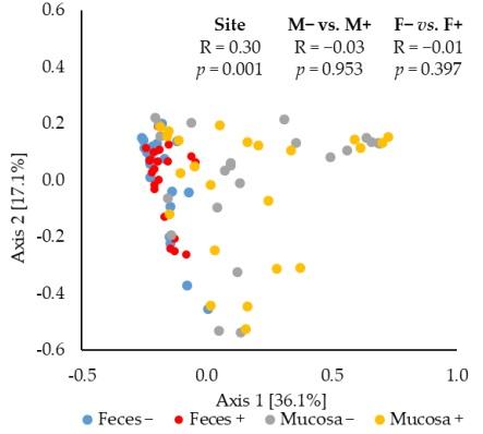 Significance of Mucosa-Associated Microbiota and Its Impacts on Intestinal Health of Pigs Challenged with F18+ E. coli - Image 3