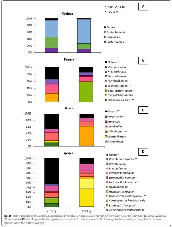 Impacts of weaning weights and mycotoxin challenges on jejunal mucosa-associated microbiota, intestinal and systemic health, and growth performance of nursery pigs - Image 14