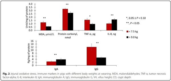 Impacts of weaning weights and mycotoxin challenges on jejunal mucosa-associated microbiota, intestinal and systemic health, and growth performance of nursery pigs - Image 8