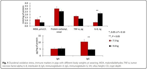 Impacts of weaning weights and mycotoxin challenges on jejunal mucosa-associated microbiota, intestinal and systemic health, and growth performance of nursery pigs - Image 7