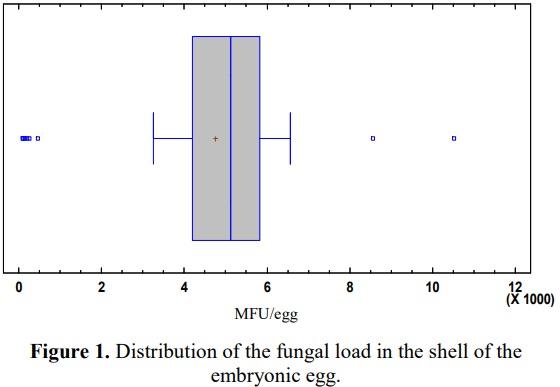 Determination of fungi and their aflatoxins in embryonated eggs a production batch - Image 3