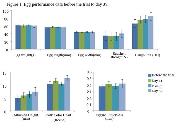 Effect of Gano-met® on egg performance in laying hens - Image 2