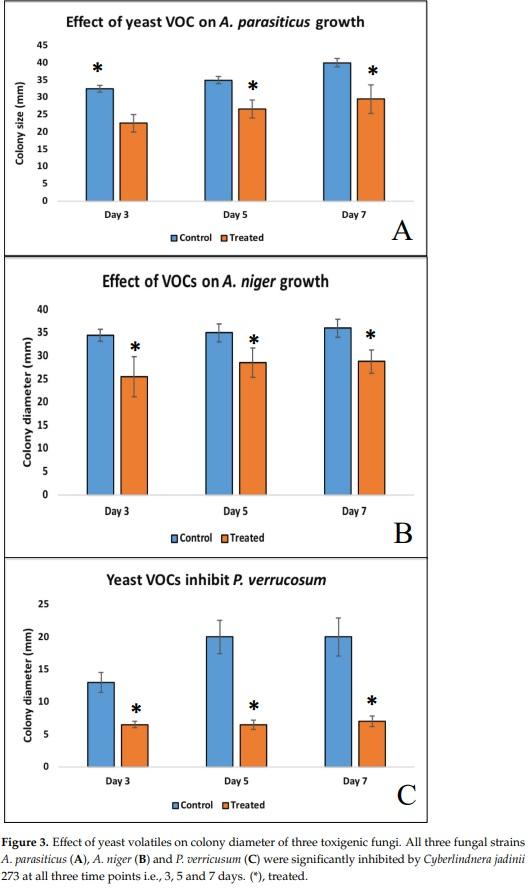 Occurrence of Mycotoxins and Toxigenic Fungi in Cereals and Application of Yeast Volatiles for Their Biological Control - Image 5