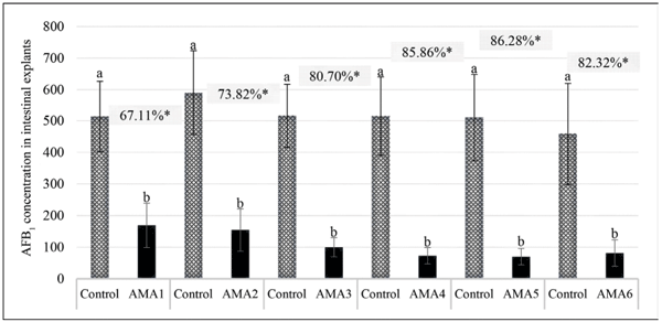 Figure 2 - Aflatoxin B1 concentration in jejunal explants of broilers in the presence or absence of antimycotoxins additives.AFB1 : aflatoxin B1 (µg/kg); AMA1-6: antimycotoxins additives 1 to 6; a-b: means with different letters in the same trial indicate significant difference (F test; P < 0.0001); * reduction in AFB1 intestinal absorption in the presence of each AMA.
