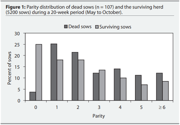 Figure 1: Parity distribution of dead sows (n = 107) and the surviving herd (5200 sows) during a 20-week period (May to October).