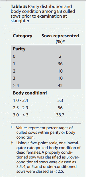 Table 5: Parity distribution and body condition among 88 culled sows prior to examination at slaughter