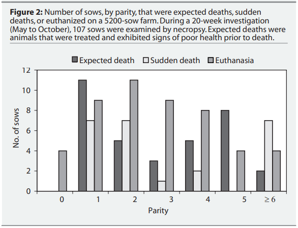 Figure 2: Number of sows, by parity, that were expected deaths, sudden deaths, or euthanized on a 5200-sow farm. During a 20-week investigation (May to October), 107 sows were examined by necropsy. Expected deaths were animals that were treated and exhibited signs of poor health prior to death.