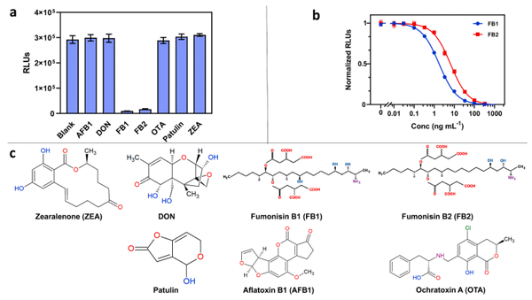 Fig. 4. Specificity of the assay toward FB1 and FB2. (a) Specificity of the FNanoBiT assay assessed by testing FB1 and FB2 with different mycotoxins such as aflatoxin B1 (AFB1), deox-ynivalenol (DON), ochratoxin A (OTA), patulin, and zearalenone (ZEA) at 100 ng mL− 1 concentration for each (b) FB1 and FB2 calibration curves developed by FNanoBiT assay (FB1 blue, FB2 red) (c) The chemical structures of tested mycotoxins. (For interpretation of the references to color in this figure legend, the reader is referred to the Web version of this article.)