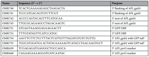 Table 2. Oligonucleotides used in this study. a Tail sequence is in italic.