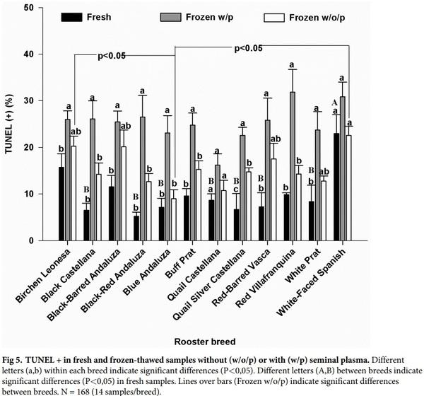 Seminal plasma amino acid profile in different breeds of chicken: Role of seminal plasma on sperm cryoresistance - Image 7