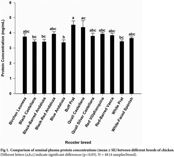 Seminal plasma amino acid profile in different breeds of chicken: Role of seminal plasma on sperm cryoresistance - Image 3