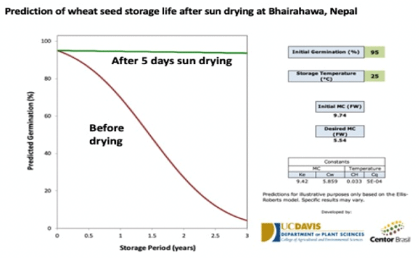 Fig. 2. Prediction of seed storage life (years) of wheat seeds following repeated climate smart drying for 5 days in May 2014 at Bhairahawa, Nepal.