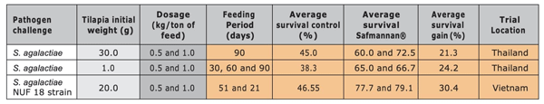 Table 1. Effects of the yeast postbiotic Safmannan® in tilapia mortality after bacterial challenge with S.agalactiae.