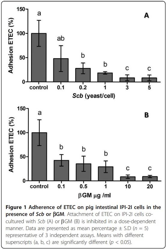 Effect of Saccharomyces cerevisiae var. Boulardii and b-galactomannan oligosaccharide on porcine intestinal epithelial and dendritic cells challenged in vitro with Escherichia coli F4 (K88) - Image 4