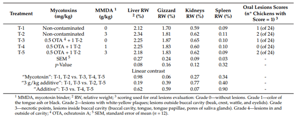 Table 8. The effects of feeding ochratoxin A (OTA) and T-2 mycotoxins and the addition of a binder mycotoxin product (MMDA) on relative weight of organs and oral lesions in broiler chickens.