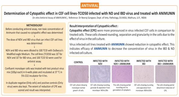 Animunin- Natural antiseptic and respiratory tonic