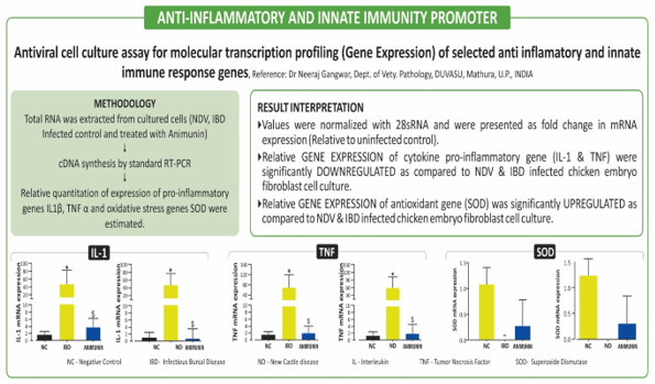 anti-inflammatory and immunomodulating properties 