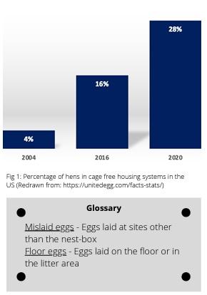 Nesting behavior and floor eggs in cage-free housing - Image 2