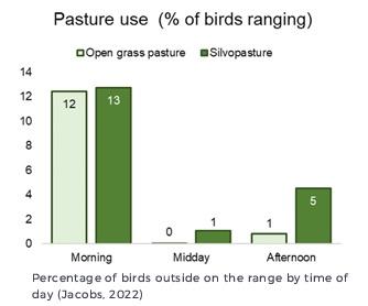 Ranging behavior and range use in chickens - Image 5