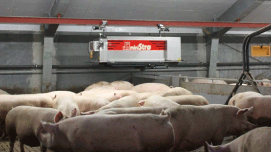 IPVS - Imagining a Digital future for Precision Pork Production - Image 2