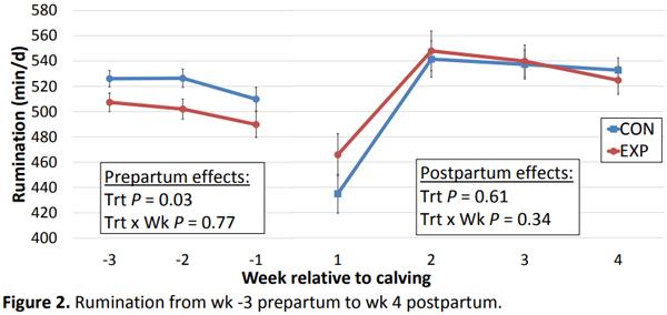 The effect of feeding zeolite A during the prepartum period on peripartum performance in multiparous Holstein Cows - Image 2