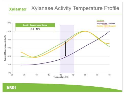 pH and Temperature Properties of Xylamax - Image 2