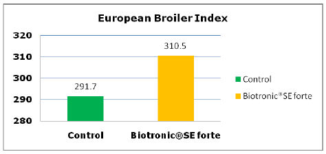 Efficiency of Biotronic® Product Line in Poultry - Image 4