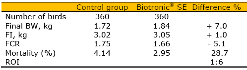 Efficiency of Biotronic® Product Line in Poultry - Image 7