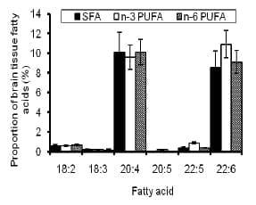Dietary Fatty Acids Affect the Growth and Performance of Gilt Progeny - Image 6