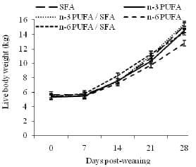 Dietary Fatty Acids Affect the Growth and Performance of Gilt Progeny - Image 9