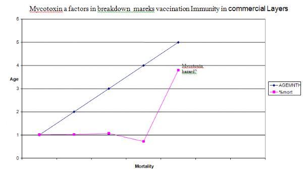 Day Old Chicks (DOC) Health Status and Early Mortalities: Consequences of Mycotoxin on Breeder Farms and Hatchery Managment in West Africa: Case Studies from Nigeria VE - Image 16