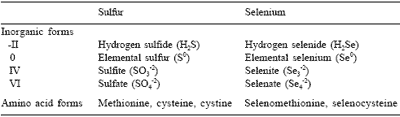 Selenium metabolism in animals: the relationship between dietary selenium form and physiological response - Image 1